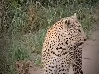 V2930003 La esperanza regreso con ayuda (Parte 2)