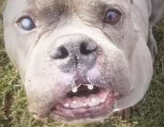 V2930009 El rescate devolvio la confianza (Parte 2)