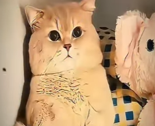 V2930010 Una vida protegida desde hoy (Parte 2)