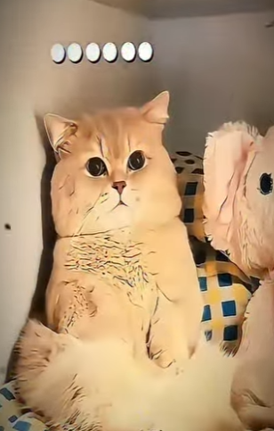 V2930010 Una vida protegida desde hoy (Parte 2)