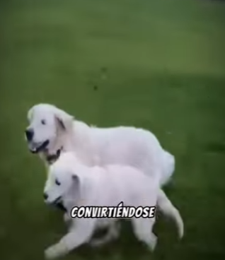 V2930001 El amor tambien salva (Parte 2)