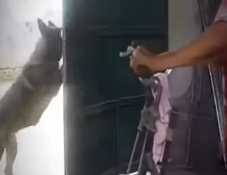 V2930013 La ayuda a cambiar el camino (Parte 2)