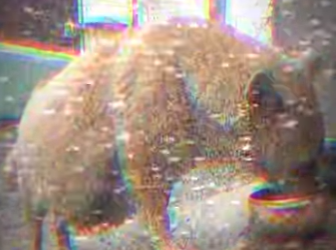 V2930002 Donde hubo dolor ahora o alivio (Parte 2)