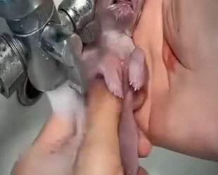 V2930011 De la soledad al acompañamiento (Parte 2)