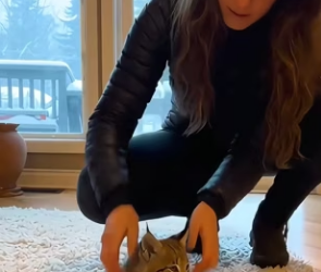 Rescue brings new beginnings (Part 2)