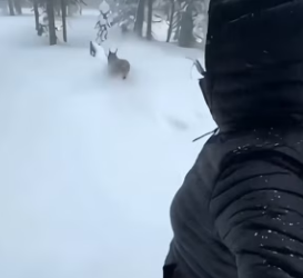 From fragile to protected (Part 2)