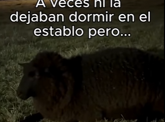 When humans become heroes (Part 2)