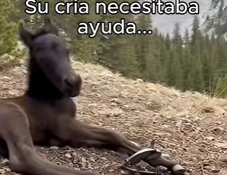 Care replaced confusion (Part 2)