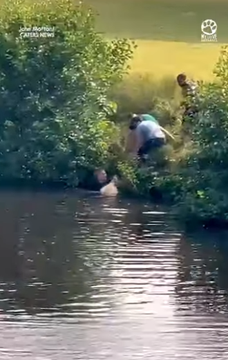 I2801007 Some heroes wear shirts (Part 2)