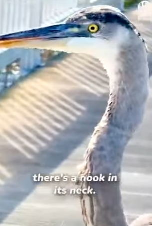 I2801008 Some people harm without thinking (Part 2)