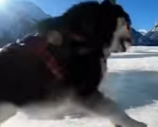 P3101006 A quiet moment that saved a life (Part 2)