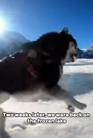 P3101006 A quiet moment that saved a life (Part 2)