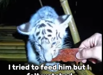 P3101007 From harm to healing hands (Part 2)