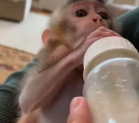 P3101003 From uncertainty to gentle care (Part 2)