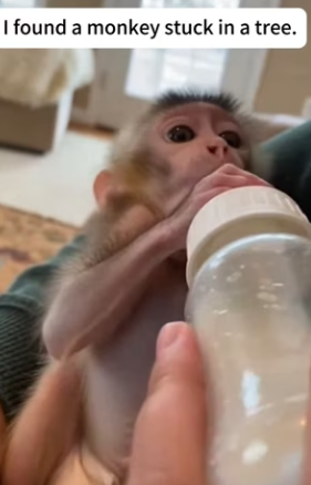 P3101003 From uncertainty to gentle care (Part 2)