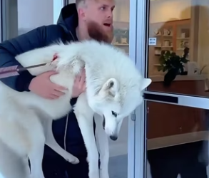 P3101012 From fear into patient safety (Part 2)