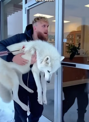 P3101012 From fear into patient safety (Part 2)