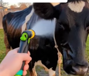 P3101008 This soul finally feels safe (Part 2)