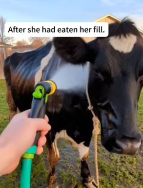 P3101008 This soul finally feels safe (Part 2)