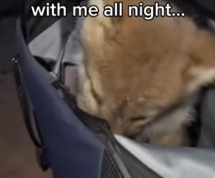 P3101004 From uncertainty to gentle care (Part 2)