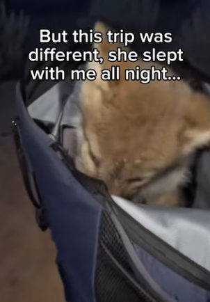 P3101004 From uncertainty to gentle care (Part 2)