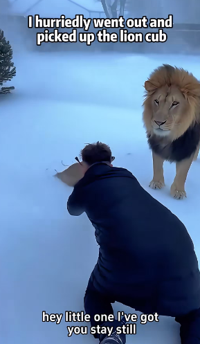 P3101010 A rescue guided by compassion (Part 2)