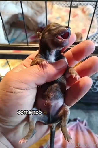 A3001005 La compasion encontro su momento (Parte 2)