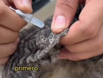 A3001001 Una vida fue protegida a tiempo (Parte 2)