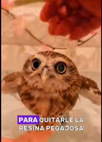 A3001007 Hoy alguien volvio a estar a salvo (Parte 2)