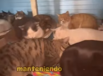 A3001002 La ayuda llego antes de que fuera tarde (Parte 2)