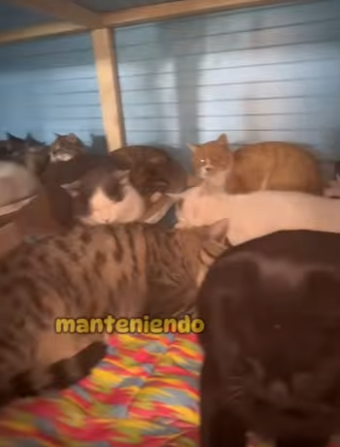 A3001002 La ayuda llego antes de que fuera tarde (Parte 2)