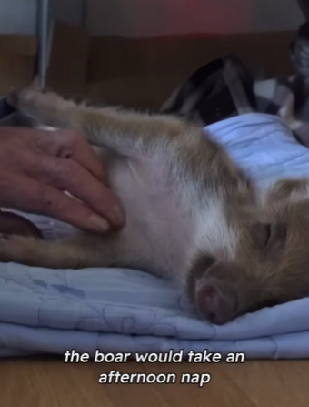 C2801011 From silent pain to gentle care (Part 2)