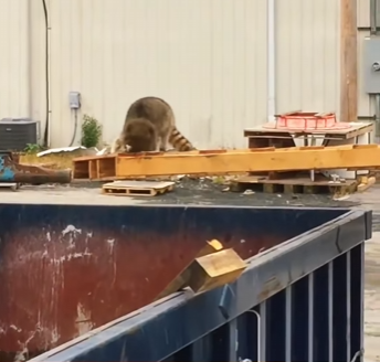 W2801002 A fragile life now guarded (Part 2)