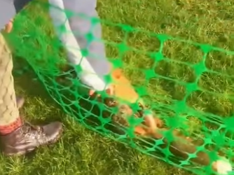 W2801011 A fragile life now guarded (Part 2)