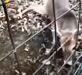 W2801004 Help arrived before it was too late (Part 2)