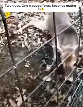 W2801004 Help arrived before it was too late (Part 2)