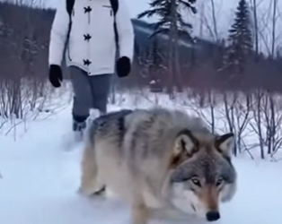 F2901004 Gentle courage made the difference (Part 2)