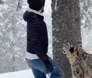 F2901003 This life was seen and saved (Part 2)