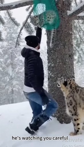 F2901003 This life was seen and saved (Part 2)