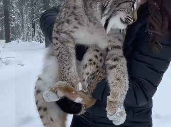 Rescue brings new beginnings