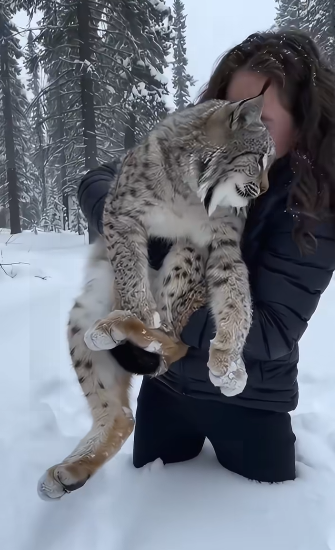 Rescue brings new beginnings