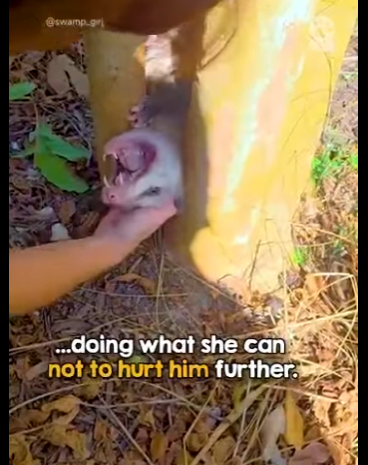 I3001002 After freeing him, she realizes something isn ri (Part 2)