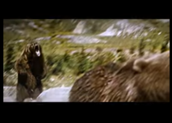 E0501004 El Abrazo del Bosque Sawyer Apolo Hablamos sobre la increíble (Parte 2)