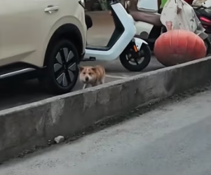 R0202001 La vida encontro ayuda a tiempo (Parte 2)