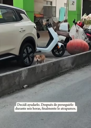 R0202001 La vida encontro ayuda a tiempo (Parte 2)