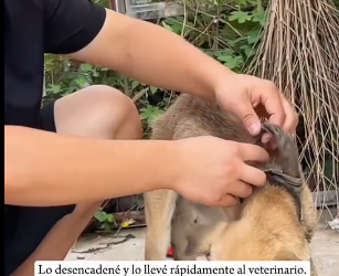 R0202003 La compasion se hizo accion (Parte 2)