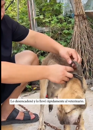 R0202003 La compasion se hizo accion (Parte 2)