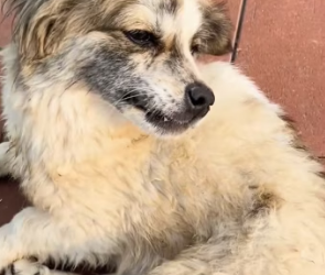 R0202004 De un momento dificil a un lugar seguro (Parte 2)