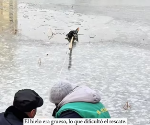 R0202006 Hoy alguien recibio cuidado (Parte 2)