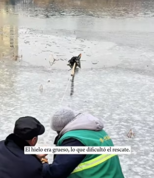 R0202006 Hoy alguien recibio cuidado (Parte 2)